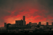 Artaxona rouge